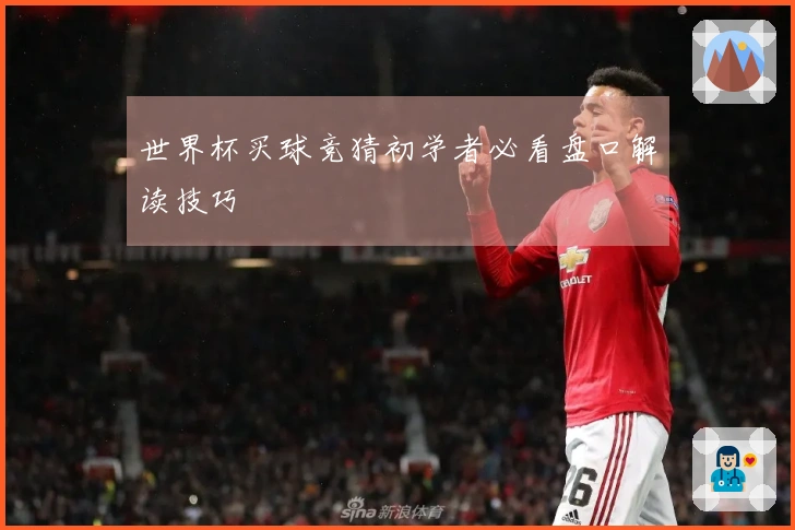 世界杯买球竞猜初学者必看盘口解读技巧