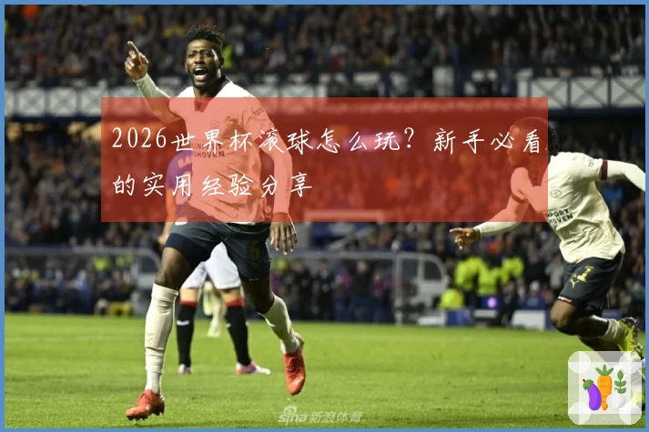 2026世界杯滚球怎么玩？新手必看的实用经验分享