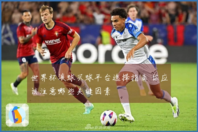 世界杯滚球买球平台选择指南 你应该注意哪些关键因素
