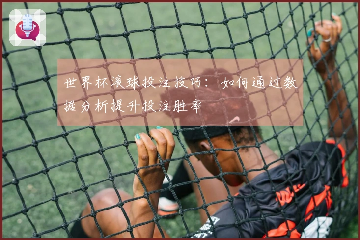 世界杯滚球投注技巧：如何通过数据分析提升投注胜率