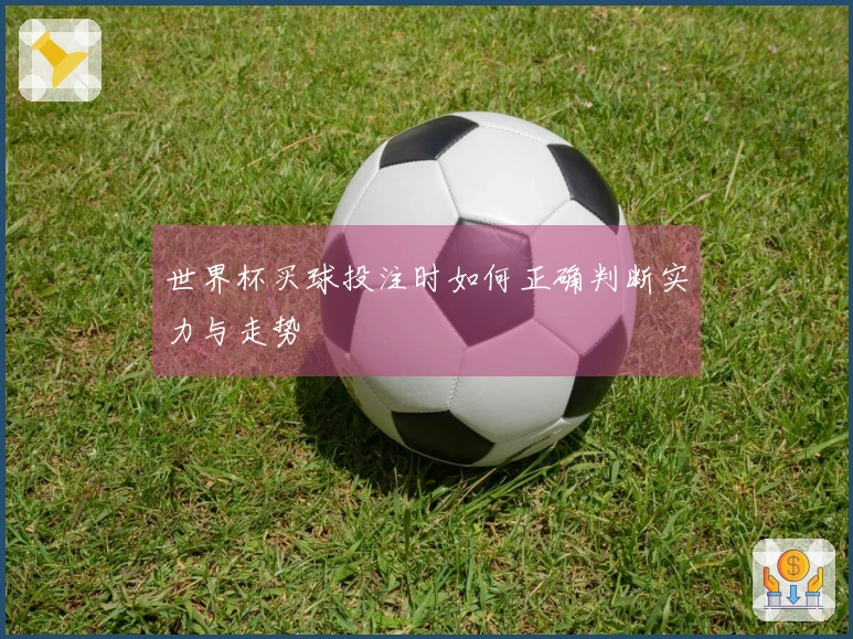 世界杯买球投注时如何正确判断实力与走势