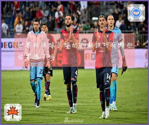 世界杯滚球买球的判断技巧有哪些你掌握了吗