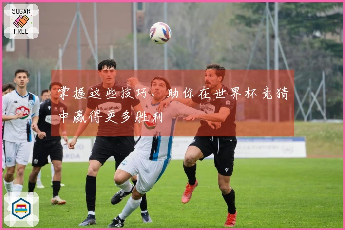 掌握这些技巧，助你在世界杯竞猜中赢得更多胜利