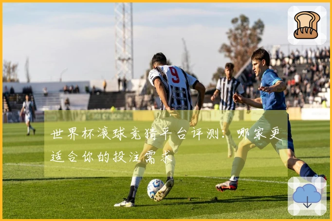 世界杯滚球竞猜平台评测：哪家更适合你的投注需求