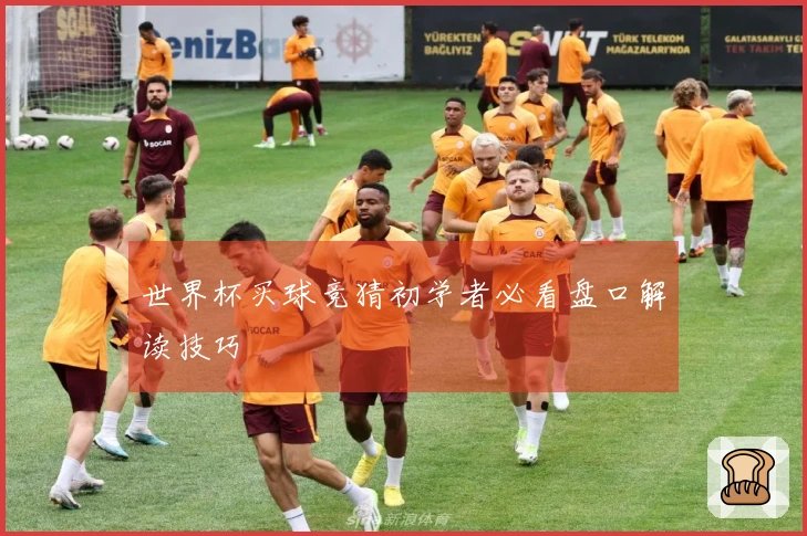 世界杯买球竞猜初学者必看盘口解读技巧
