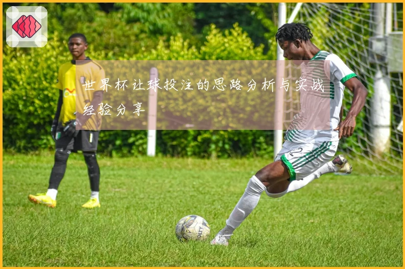 世界杯让球投注的思路分析与实战经验分享