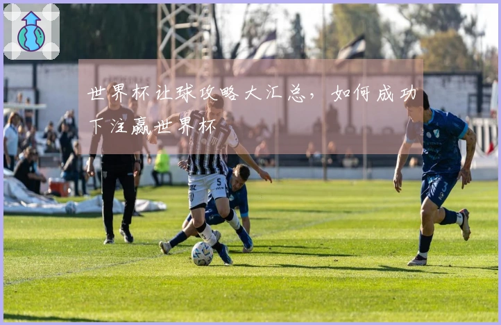 世界杯让球攻略大汇总，如何成功下注赢世界杯