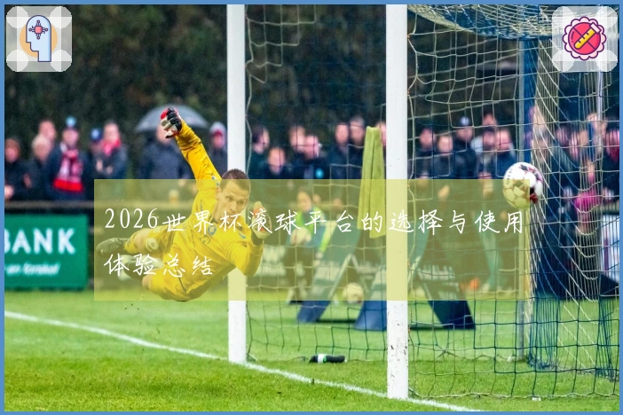 2026世界杯滚球平台的选择与使用体验总结