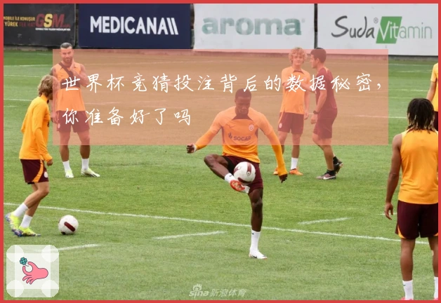 世界杯竞猜投注背后的数据秘密，你准备好了吗