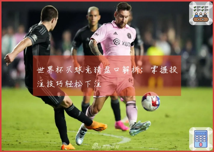 世界杯买球竞猜盘口解析：掌握投注技巧轻松下注