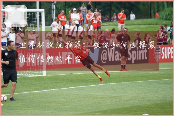 世界杯投注推荐：教你如何选择最值得信赖的平台