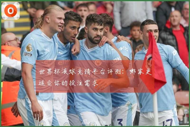 世界杯滚球竞猜平台评测：哪家更适合你的投注需求